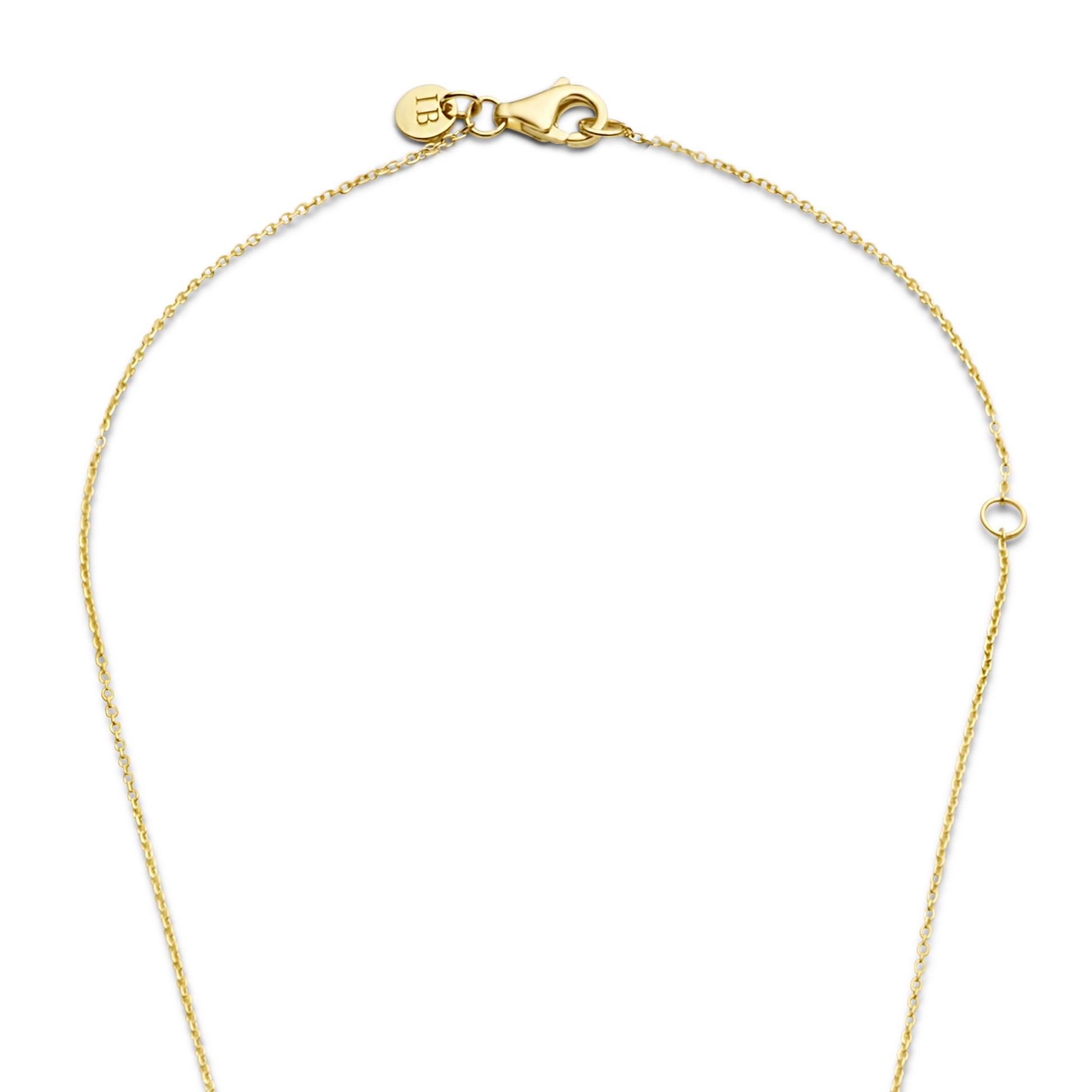 Belleville Noémi 14 karat gold necklace with freshwater pearls -  - Isabel Bernard