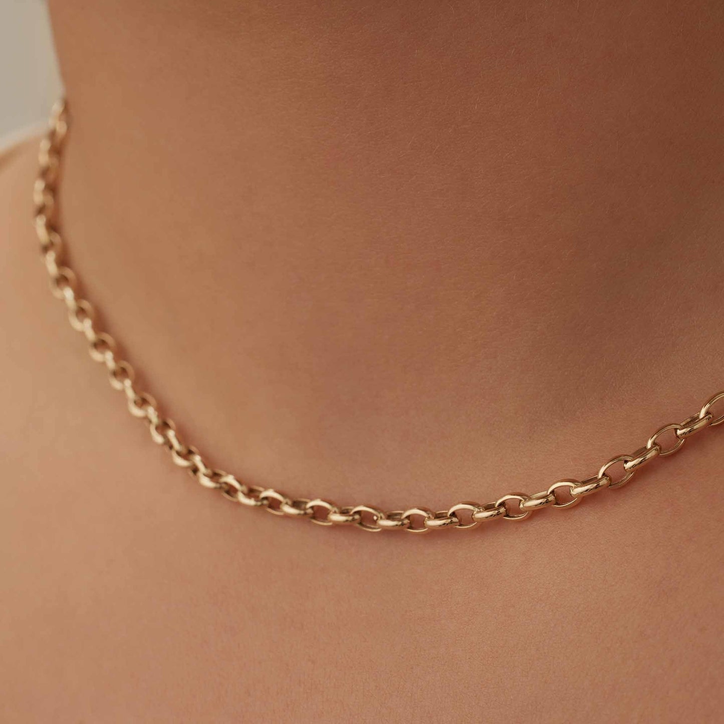 Aidee Camille 14 karat gold link necklace -  - Isabel Bernard