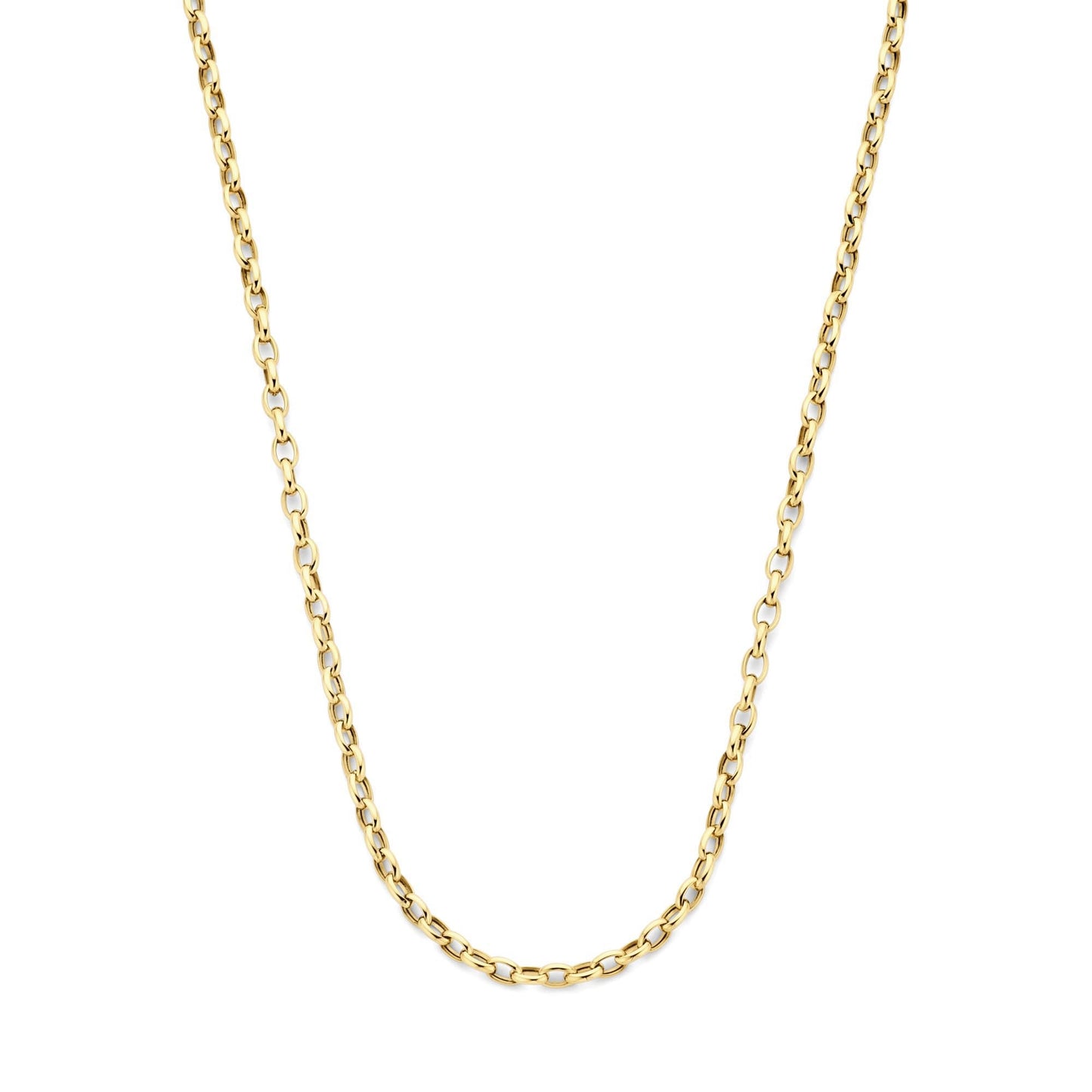 Aidee Camille 14 karat gold link necklace -  - Isabel Bernard