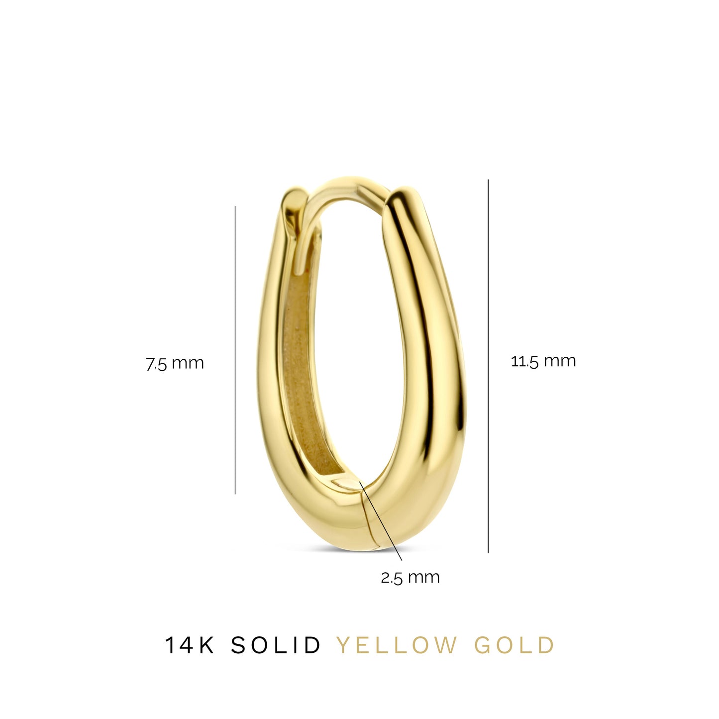 Rivoli Maryn 14 karat gold hoop earrings -  - Isabel Bernard